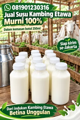 jual susu kambing etawa murni di jakarta